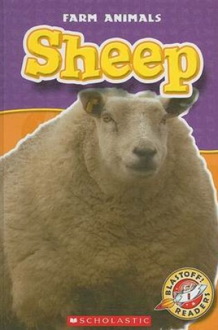 Cover of Sheep