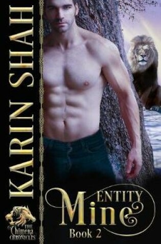 Cover of Entity Mine