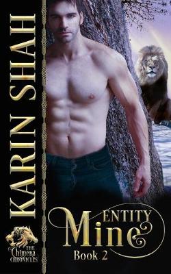 Book cover for Entity Mine