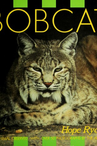 Cover of The Bobcat