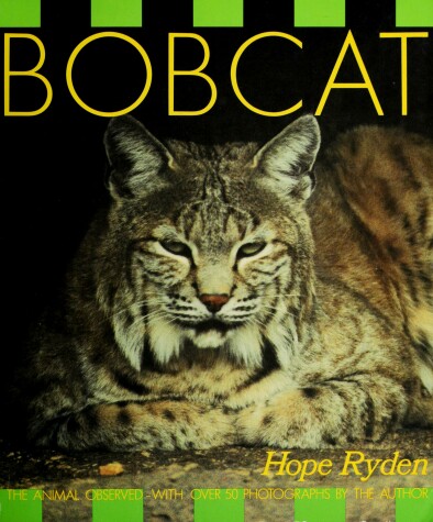 Book cover for The Bobcat