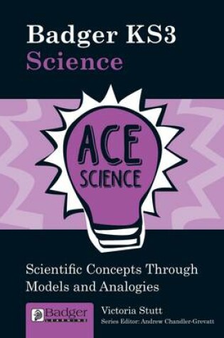 Cover of Considering Scientific Concepts Through Models and Analogies