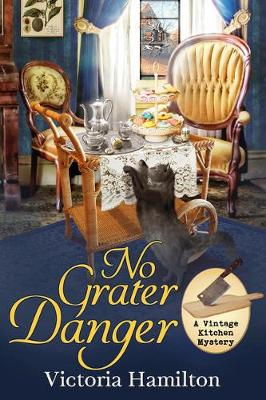 Book cover for No Grater Danger