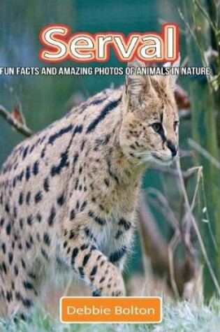 Cover of Serval