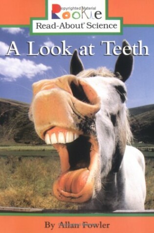 Cover of A Look at Teeth