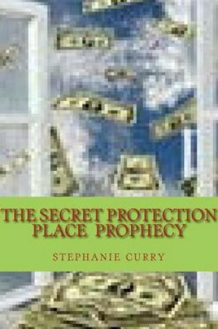 Cover of The Secret Protection Place Prophecy