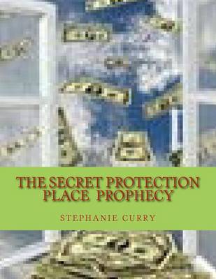 Book cover for The Secret Protection Place Prophecy