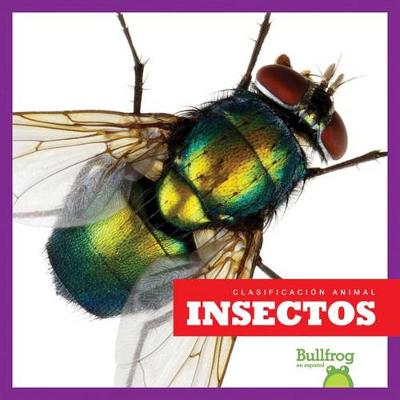 Book cover for Insectos (Insects)