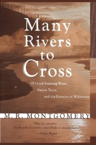 Cover of Many Rivers to Cross