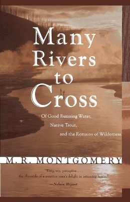 Book cover for Many Rivers to Cross