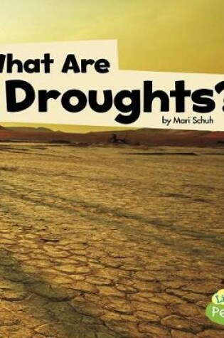 Cover of What are Droughts? (Wicked Weather)