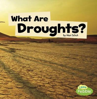 Book cover for What are Droughts? (Wicked Weather)