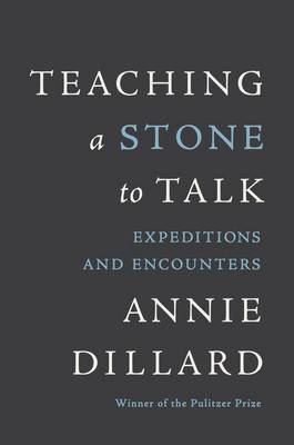 Book cover for Teaching a Stone to Talk