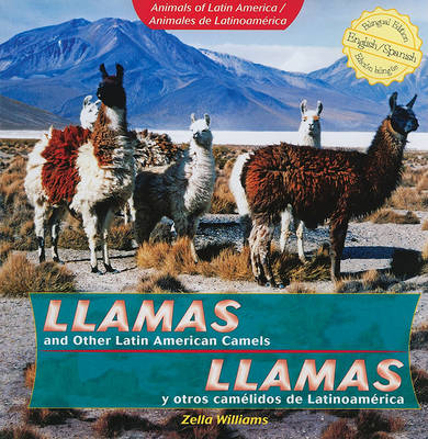 Cover of Llamas and Other Latin American Camels / Llamas Y Otros Camélidos de Latinoamérica