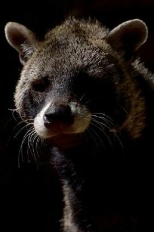 Cover of The Civet Journal - Nocturnal Carnivore Posing Just for You, Baby!