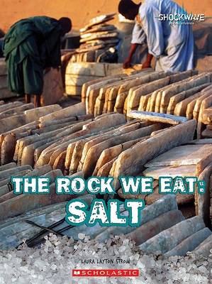 Book cover for The Rock We Eat: Salt