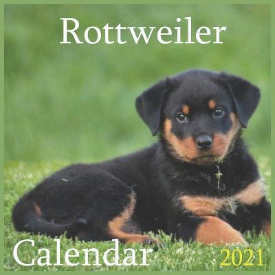 Book cover for Rottweiler Calendar 2021