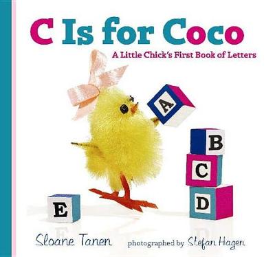 Book cover for C Is for Coco