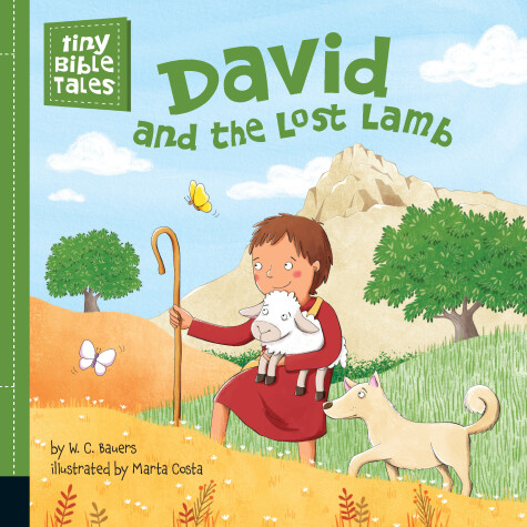 Book cover for David and the Lost Lamb