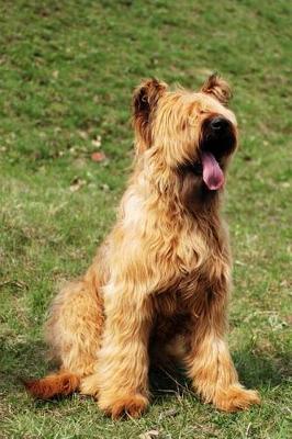 Book cover for The Briard Dog Journal