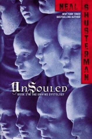 Cover of Unsouled