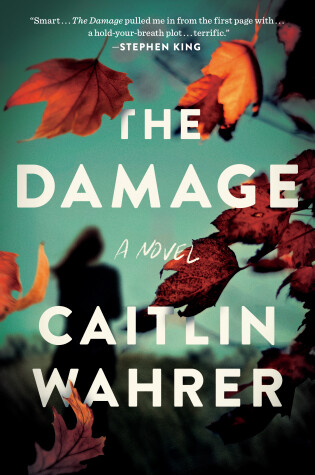 The Damage by Caitlin Wahrer