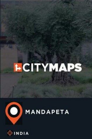 Cover of City Maps Mandapeta India