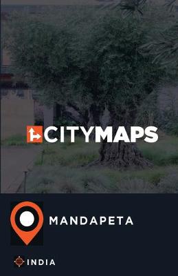 Book cover for City Maps Mandapeta India