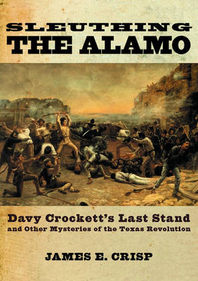 Book cover for Sleuthing the Alamo