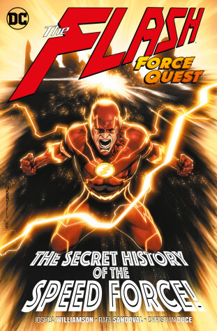 Book cover for Flash Volume 10