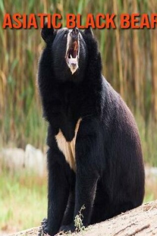 Cover of Asiatic Black Bear