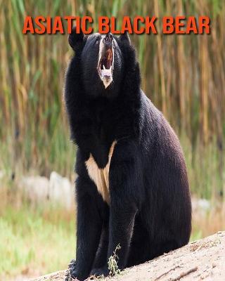 Book cover for Asiatic Black Bear