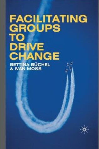 Cover of Facilitating Groups to Drive Change