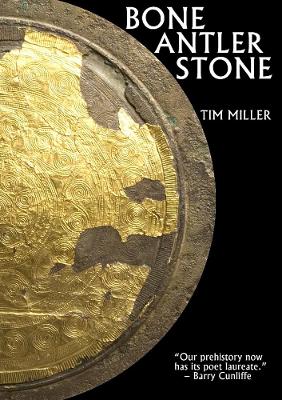 Book cover for Bone Antler Stone