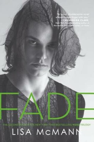 Cover of Fade: Sequel to Wake