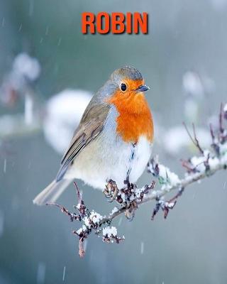 Book cover for Robin