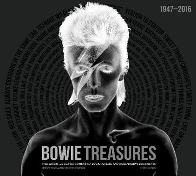 Book cover for Bowie Treasures