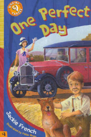 Cover of One Perfect Day