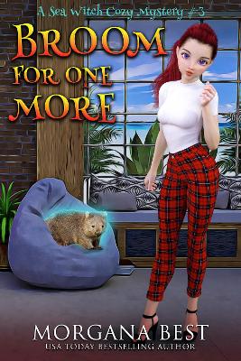 Book cover for Broom For One More