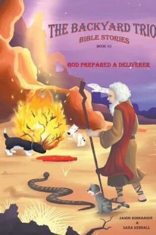 Cover of God Prepared A Deliverer