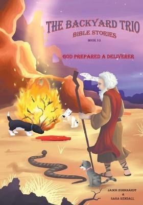 Cover of God Prepared A Deliverer
