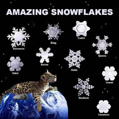 Book cover for Amazing Snowflakes