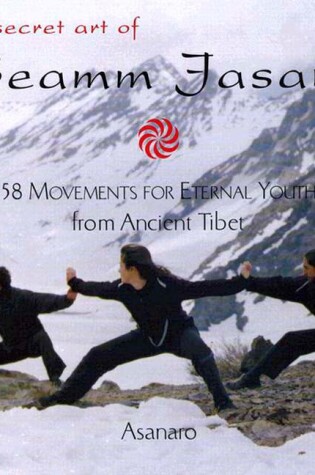 Cover of The Secret Art of Seamm Jasani