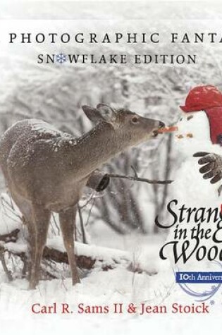 Cover of Stranger in the Woods