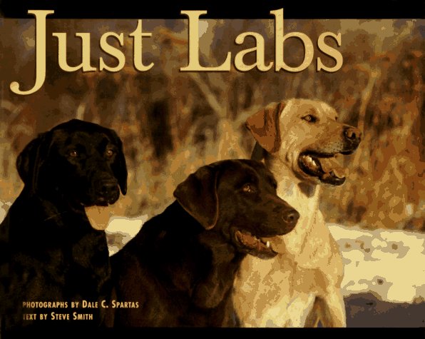 Book cover for Just Labs