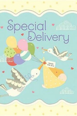 Cover of Special Delivery