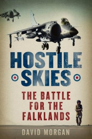 Cover of Hostile Skies