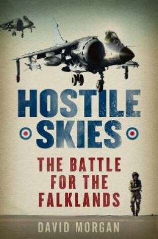 Cover of Hostile Skies