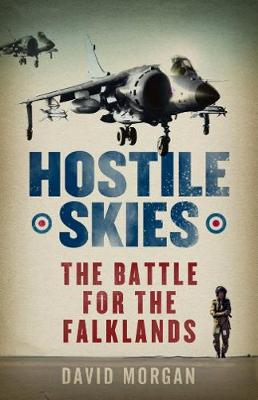 Book cover for Hostile Skies
