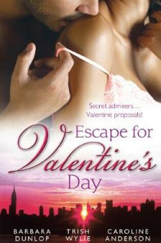Cover of Escape For Valentine's Day - 3 Book Box Set
